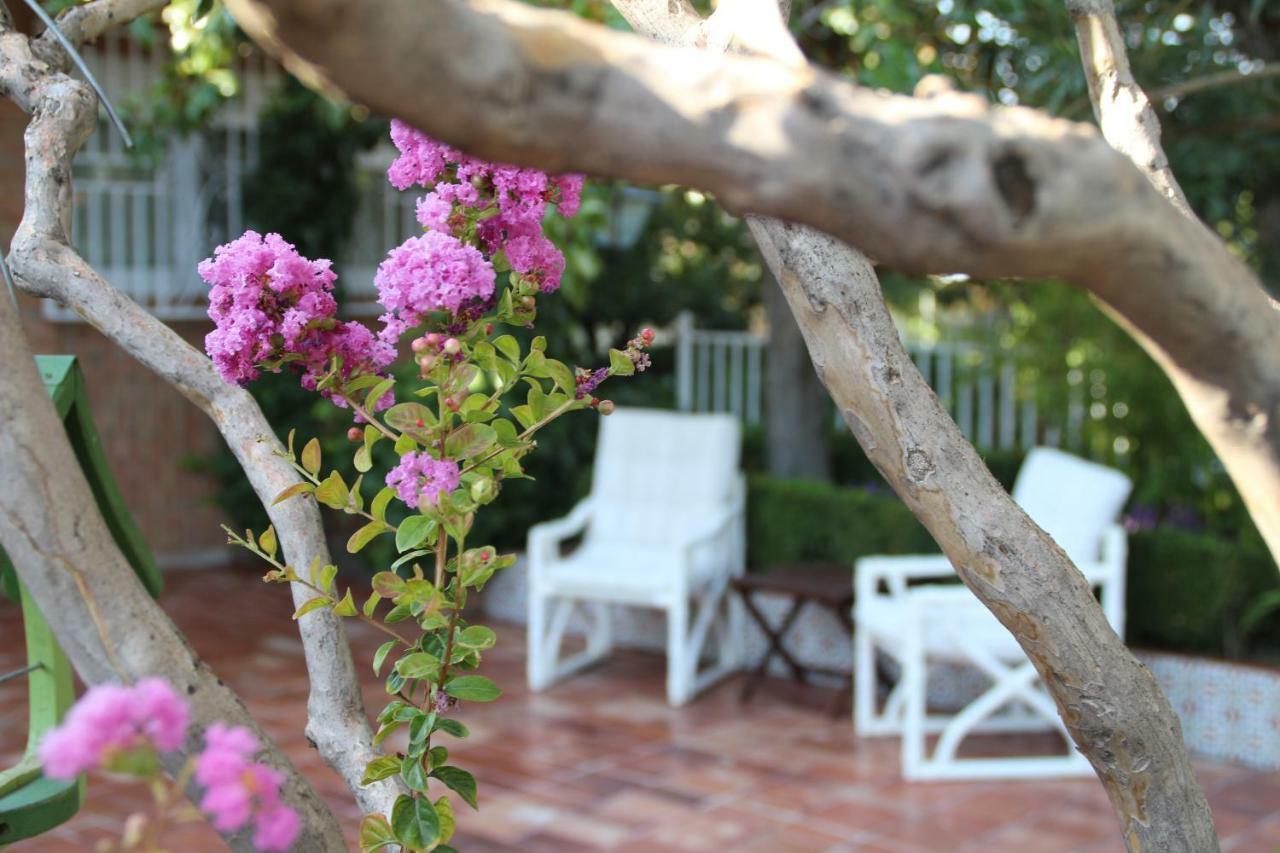 El Jardin De La Abuela Villa Granada Exterior foto